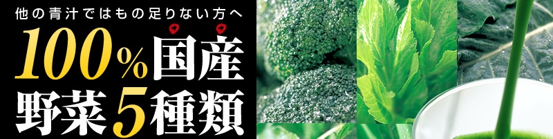 �T���X�^�[�u�����`�v���T�C�g